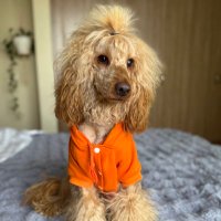 Luna (@looneybug) 's Twitter Profile