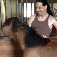 big daddy π―οΈπͺ big daddy month ππ (@petersteelsdady) 's Twitter Profile