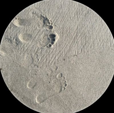 sasaysaaa's profile picture. 