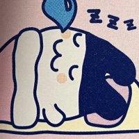 りず (@__z2v) 's Twitter Profile Photo