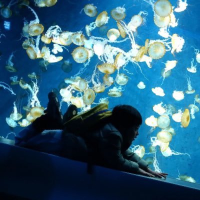 achamichan's profile picture. よく食べよく寝てよく遊びほどよくお仕事 ずんくん4歳の母 あとよく飲みます