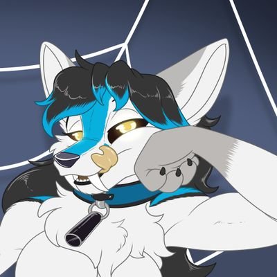 Hayakuさんのプロフィール画像