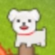 おみけ🌟さんのプロフィール画像