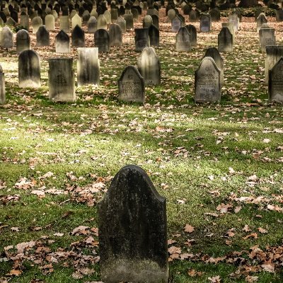 Cemetary historian. Joined X/Twitter to share stories, and learn more about the trends in the industry.