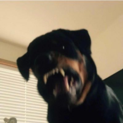 BrianBoru92597's profile picture. 