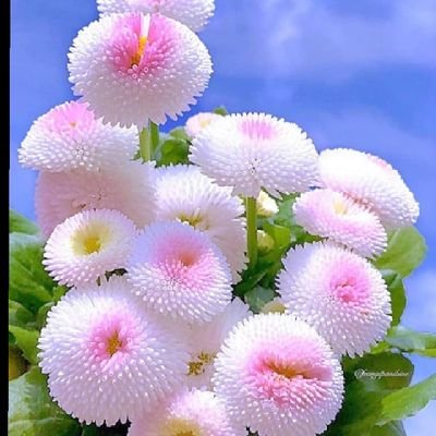 zaims3441143744's profile picture. 