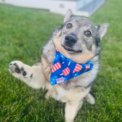 oxen_olly90073's profile picture. 🇺🇸America First ❤️Christ is King