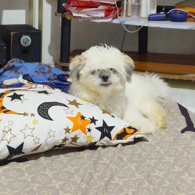 MSADnica's profile picture. Its never too late
Nitrograph