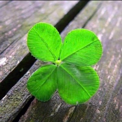 MassiamiSidibe's profile picture. j’aime être aimé 😇