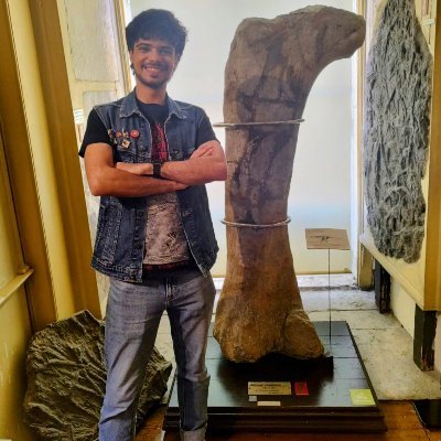 Alexandre Fonsecaさんのプロフィール画像
