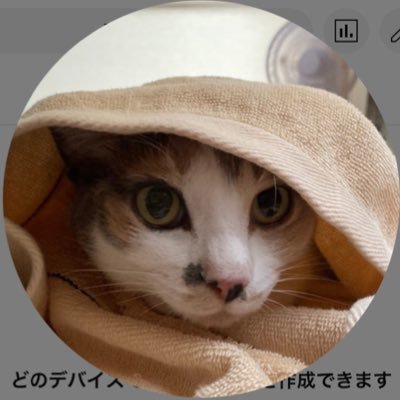 Sora_shiitake's profile picture. 新しく作りました( * . .)" バウンティ TFT ㌰ﾊﾓ コアなす 🐰💖 ろぼっこ るかみん