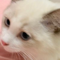 99999990000，xxxxx (@ljign183832) 's Twitter Profile