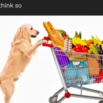 Livluv21's profile picture. 