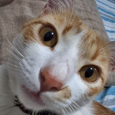 stella_uv's profile picture. 