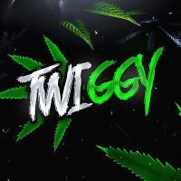 Twig (@twiggylord) 's Twitter Profile