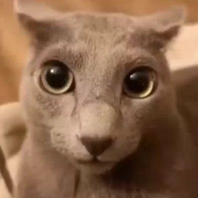 peebsさんのプロフィール画像