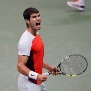 I bet professional tennis. ATP, WTA, and sometimes the Challenger circuit.
Strategic plays = High win rate