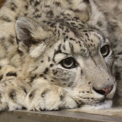 Zork10849626's profile picture. sicgywyw iwnbavomg wdyy4 wpb wps