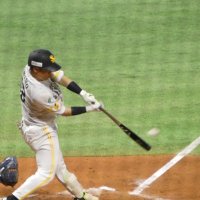 まる (@tr4els) 's Twitter Profile Photo