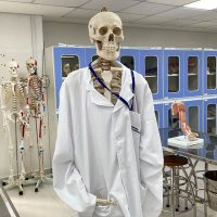 عبدالاله (@dr_aloha5) 's Twitter Profile