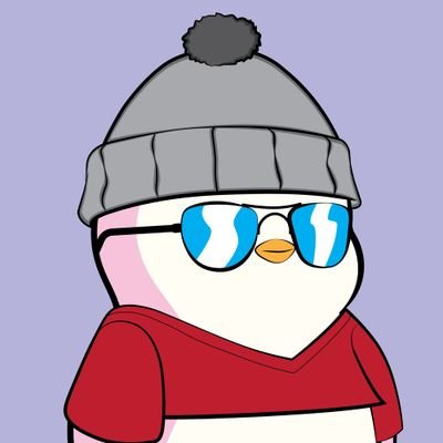Niko Crypto Profile