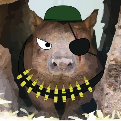 thatcombatwombat 🔞さんのプロフィール画像