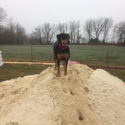 DonnieLynch3220's profile picture. 1776/45-47