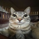 Tackyさんのプロフィール画像