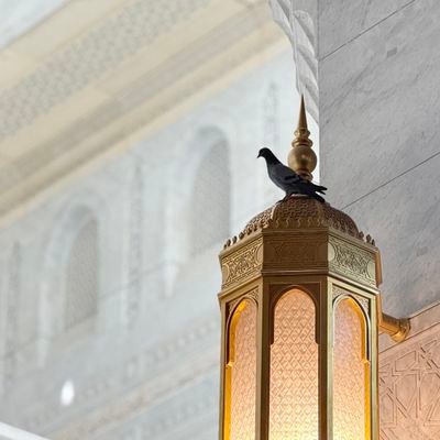 باقٍ على تشبّثه برحمةِ اللّٰه يرمقُ الغد وفي فؤاده رجاء لم تُطفئه الأحداث.