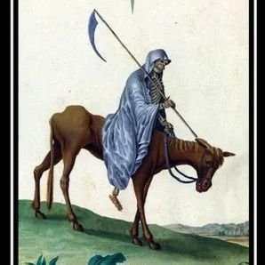 Erudit_du_nord's profile picture. Vive le Québec libre ⚜️ Oui à un pays nordique de langue française.⚜️🌬❄️
Terre et patrie ⚜️