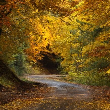 professore62's profile picture. 