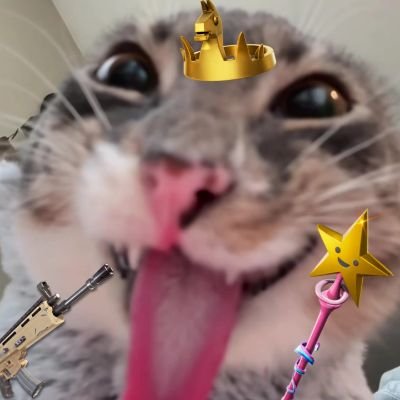 Akarofn's profile picture. 1500 pr