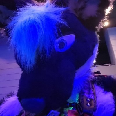 Fizzy_Fox's profile picture. 37 • Furry • 🏳️‍🌈 • Certified Soda Fox • 🔞 NSFW • Fursuiter • Voice Actor • DJ •