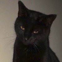 𝐂ake ⟢ 🪽” (@so_askme) 's Twitter Profile