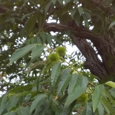 37Wed3RcZP28751's profile picture. 保守/信教の自由/ハングル/小豆/宗教和合/阿闍梨/DMはしません
