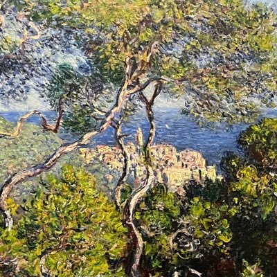 lefkaraa's profile picture. here for big brother updates 😎