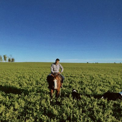 alejoherrrrera's profile picture. 🇦🇷