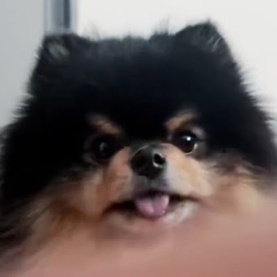 yaraaazhs's profile picture. just me and my loves.