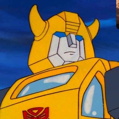 🐝💛🇵🇸🍉Your Local Bumblebee🍉🇵🇸💛🐝さんのプロフィール画像