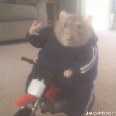 elcocodrill0's profile picture. 