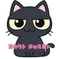 ジャスミン2(スカウト)凍結しました🧊 (@jasmine_scout0) 's Twitter Profile Photo