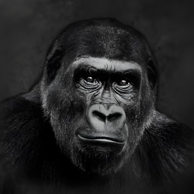 ReramT47979's profile picture. yes its me