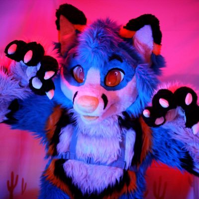 Rummi Foxさんのプロフィール画像
