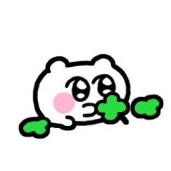 まよさんのプロフィール画像
