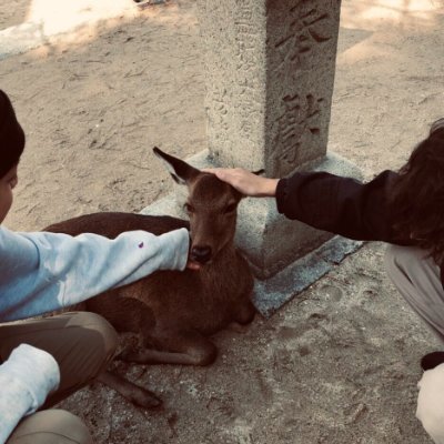 PetrichoRr_1030's profile picture. ふつ
DUB-OX / をかにし / EX-F / INKIE / Frosty / TOMAZACRE
Jo-Ws / サウアス / レペゼン病棟 / Codacre-Low / ABC.JBC2019
バンド リカル / 空中メトロ
J-コア MADCITY / Illegal Wave Records / 6th