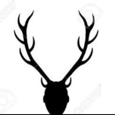ersan736684's profile picture. 