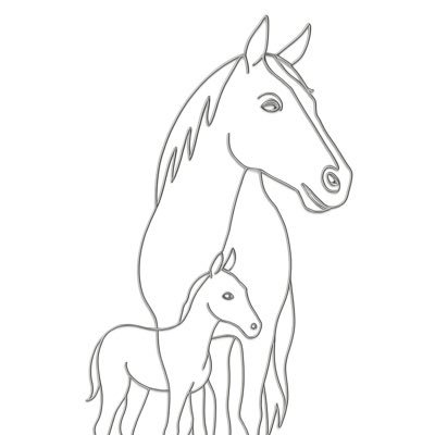 九州で競走馬の生産牧場を始めました。 I have started a racehorse breeding farm in Kyushu.
