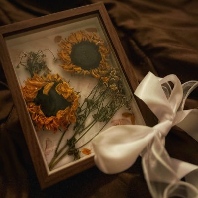 niczerx's profile picture. 
