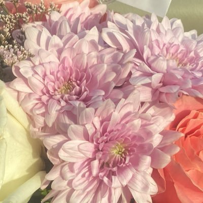 بنوته عسل اكبر مشاكلها أنها تجاهد نفسها دائمًا ، لا إله ألا الله وحده لا شريك له 🌷.