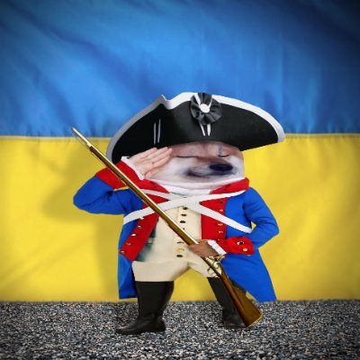Boston Fella Profile
